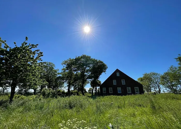 Daire Gulfhof Dreybült Dreybült 9 Habbo Dornum